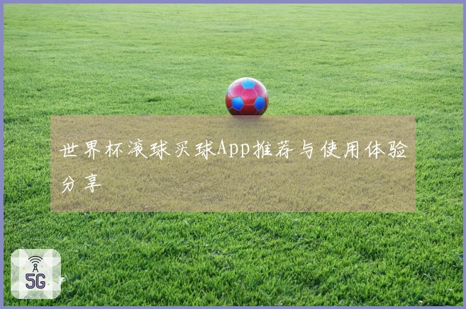 世界杯滚球买球App推荐与使用体验分享