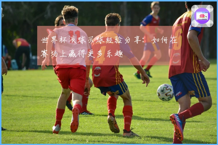 世界杯滚球买球经验分享：如何在赛场上赢得更多乐趣