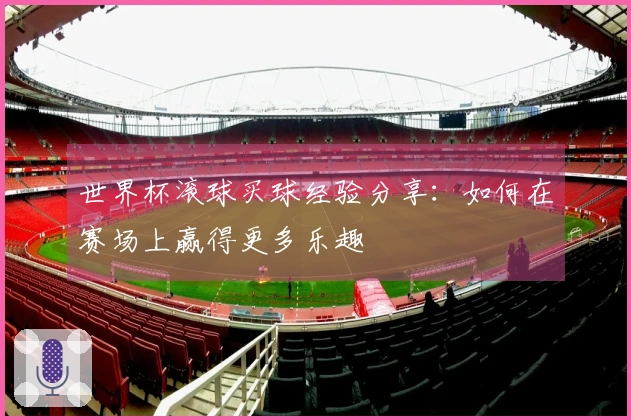 世界杯滚球买球经验分享：如何在赛场上赢得更多乐趣