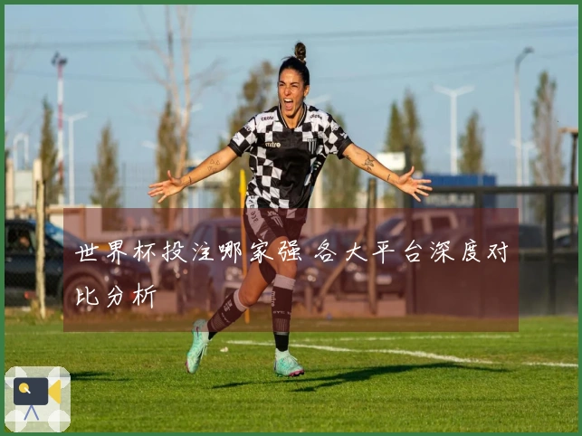 世界杯投注哪家强 各大平台深度对比分析