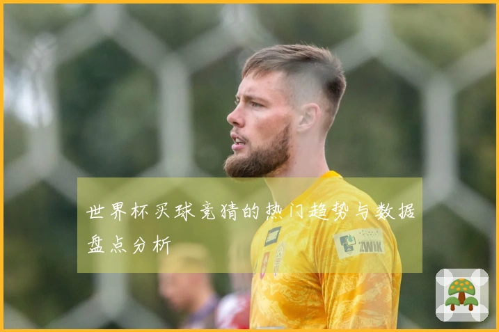 世界杯买球竞猜的热门趋势与数据盘点分析