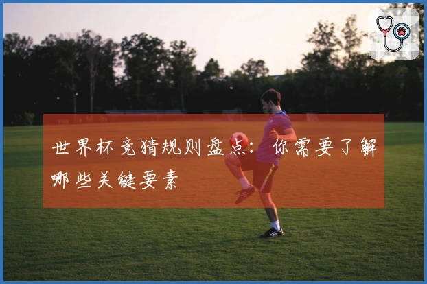 世界杯竞猜规则盘点：你需要了解哪些关键要素