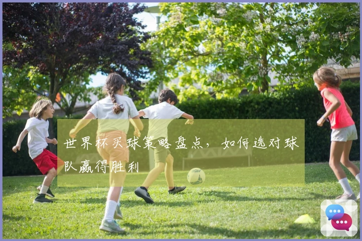 世界杯买球策略盘点，如何选对球队赢得胜利